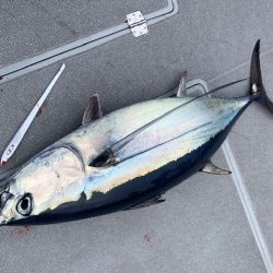 へいみつ丸 釣果