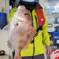 遊漁船　ニライカナイ 釣果