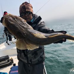 Magic（マジック） 釣果