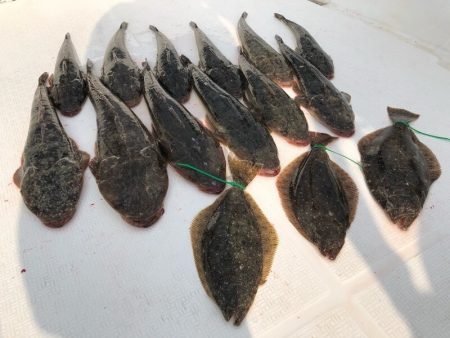 Magic（マジック） 釣果