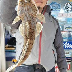 遊漁船 ニライカナイ 釣果