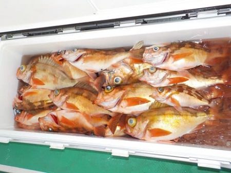 第二むつ漁丸 釣果