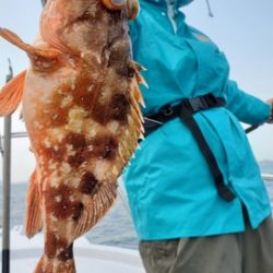 遊漁船 ニライカナイ 釣果
