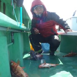 第二むつ漁丸 釣果