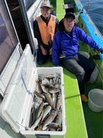 久里浜黒川本家 釣果