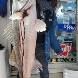 遊漁船 ニライカナイ 釣果