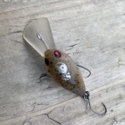 フィッシング サンクチュアリ 釣果