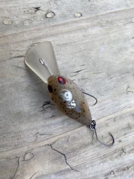 フィッシング サンクチュアリ 釣果