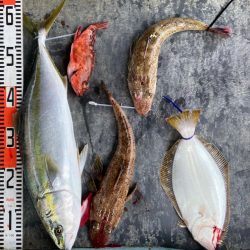 明神釣船 釣果