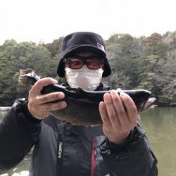 フィッシング サンクチュアリ 釣果