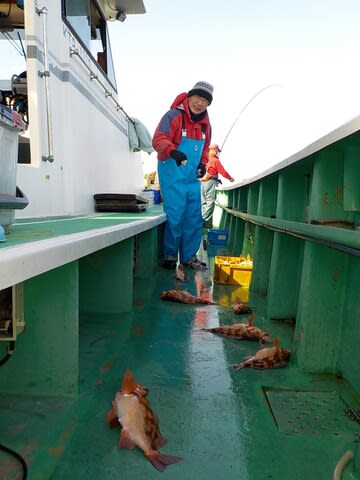 第二むつ漁丸 釣果
