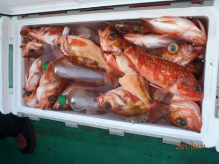 第二むつ漁丸 釣果