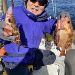 シーモンキー 釣果