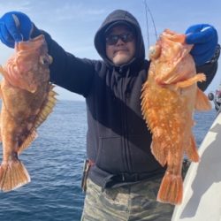 シーモンキー 釣果