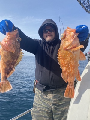 シーモンキー 釣果