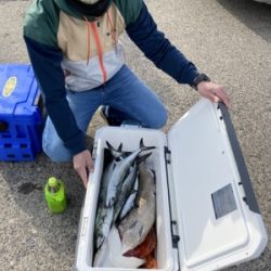 シーモンキー 釣果