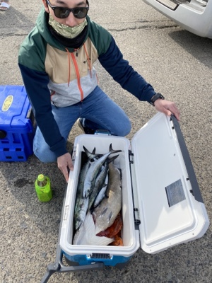 シーモンキー 釣果