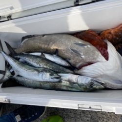 シーモンキー 釣果