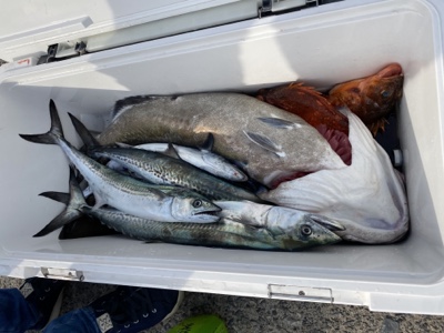 シーモンキー 釣果