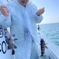 リトルワン 釣果