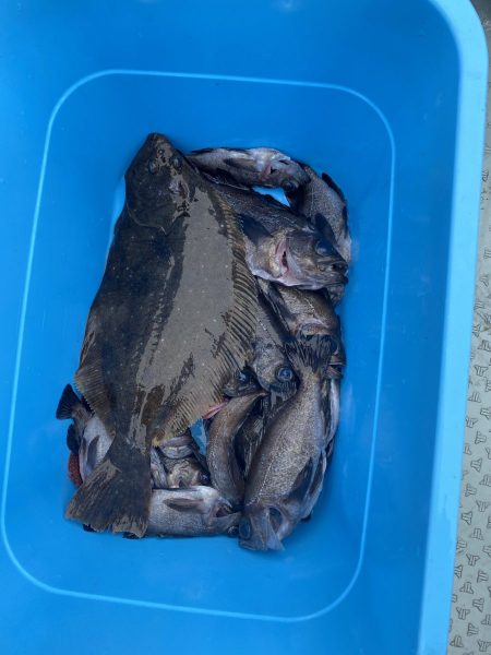 リトルワン 釣果