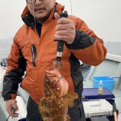 リトルワン 釣果