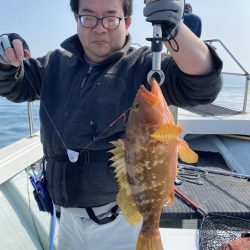 リトルワン 釣果