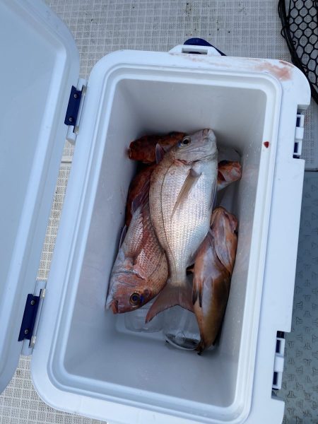 リトルワン 釣果