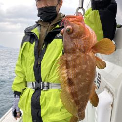 リトルワン 釣果