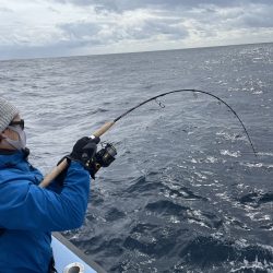 松鶴丸 釣果