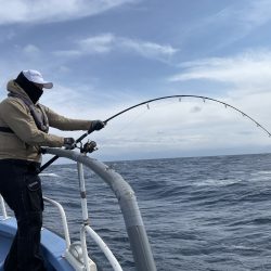 松鶴丸 釣果