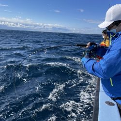 松鶴丸 釣果