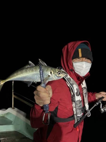 シードリーム 釣果