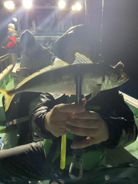 シードリーム 釣果