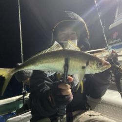 シードリーム 釣果