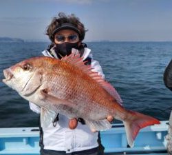 東京湾探釣隊ぼっち 釣果