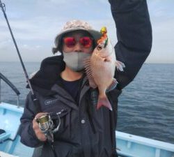 東京湾探釣隊ぼっち 釣果