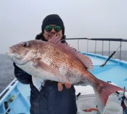 東京湾探釣隊ぼっち 釣果