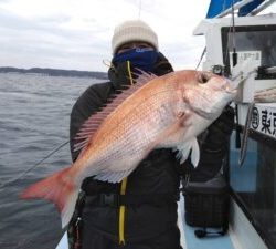 東京湾探釣隊ぼっち 釣果