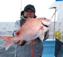 東京湾探釣隊ぼっち 釣果
