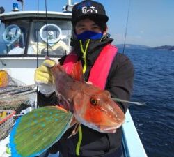 東京湾探釣隊ぼっち 釣果