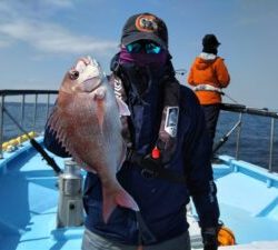 東京湾探釣隊ぼっち 釣果