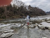 秩父フライフィールド 釣果