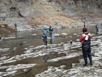 秩父フライフィールド 釣果