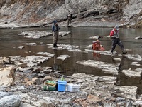 秩父フライフィールド 釣果