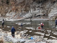 秩父フライフィールド 釣果
