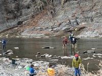 秩父フライフィールド 釣果