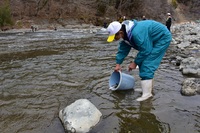 秩父フライフィールド 釣果