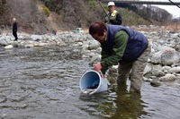 秩父フライフィールド 釣果