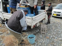秩父フライフィールド 釣果